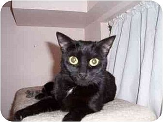 un secret rencontre maxime et tania