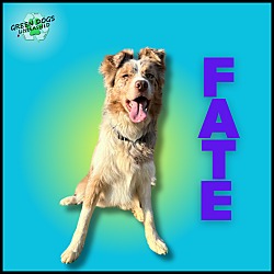 Thumbnail photo of Fate #1