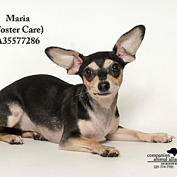 Thumbnail photo of Maria  (Foster Care) #4