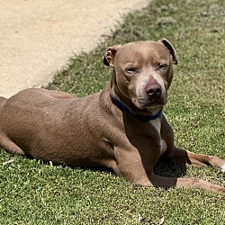 Photo of Kash