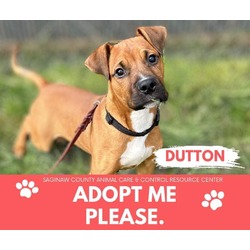 Photo of DUTTON