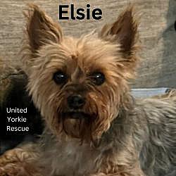 Photo of Elsie