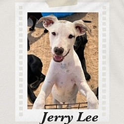 Photo of Jerry Lee