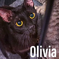 Photo of Olivia