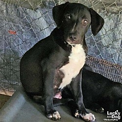 Photo of Paco