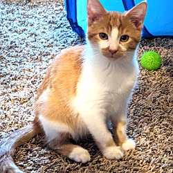 Photo of Ember