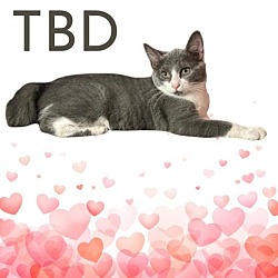 Photo of TBD- SPECIAL NEEDS
