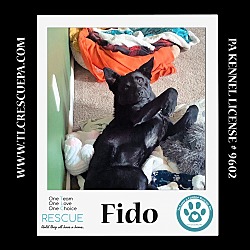 Thumbnail photo of Fido 022424 #2