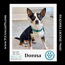 Thumbnail photo of Donna 042024 #4