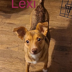 Thumbnail photo of Lexi #2