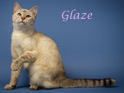 Thumbnail photo of Glaze #3