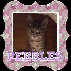 Thumbnail photo of Pebbles #2