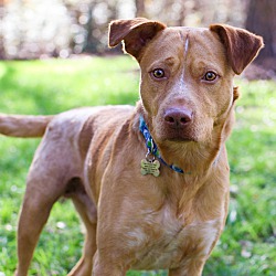 Photo of Bailey B
