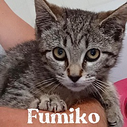Photo of Fumiko