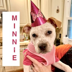 Photo of Minnie