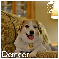 Thumbnail photo of Dancer #1