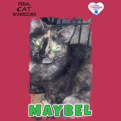 Photo of Maybel