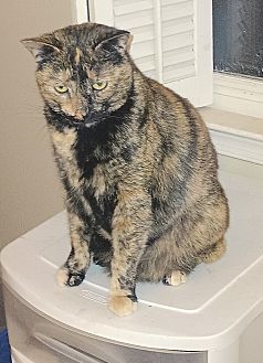Tilly