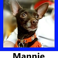 Thumbnail photo of Mannie #1