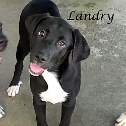 Thumbnail photo of Landry ~ meet me! #1