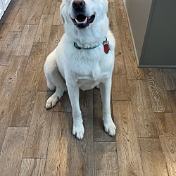Photo of Duchess