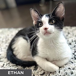 Photo of Ethan