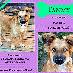 Thumbnail photo of Tammy #4
