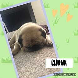 Thumbnail photo of Chunk #1