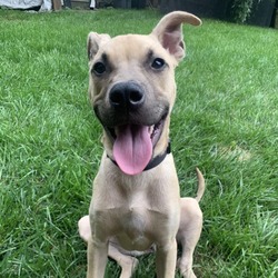 Photo of Wags