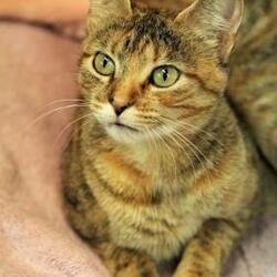 Photo of Kiwi
