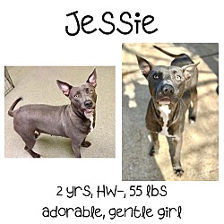 Thumbnail photo of Jessie #1