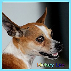 Thumbnail photo of Mickey Lee #3
