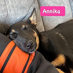Thumbnail photo of Annika #2