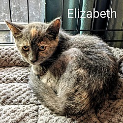 Thumbnail photo of Elizabeth #2