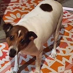 Photo of MAX