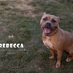 Thumbnail photo of Rebecca #1