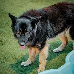 Thumbnail photo of SWEENEY-A2146809 #3