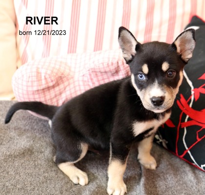 Photo of River-0483