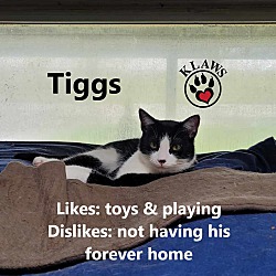 Photo of Tiggs