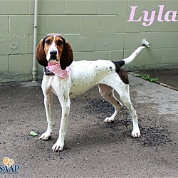 Thumbnail photo of Lyla #3