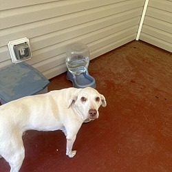 Photo of Spartan