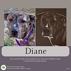 Photo of Diane