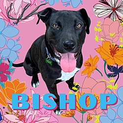 Photo of Bishop