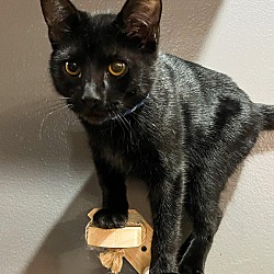 Photo of TeKa