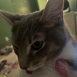 Photo of Winry