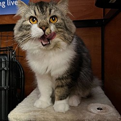 Photo of Archimedes