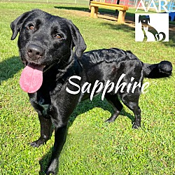 Thumbnail photo of Sapphire #2