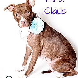 Thumbnail photo of Mrs. Claus #1