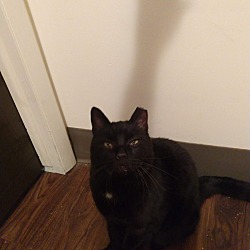 Photo of Handsome