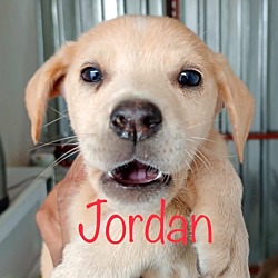 Photo of Jordan